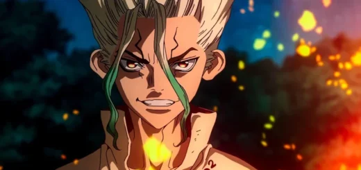 Dr. Stone