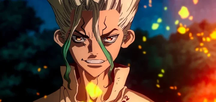 Dr. Stone